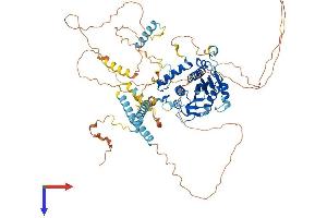 alpha Adducin Protein (AA 1-735) (His tag)