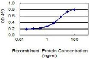 Detection limit for recombinant GST tagged EMB is 0. (Embigin 抗体  (AA 1-327))