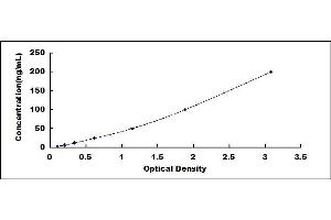 Typical standard curve (CERK ELISA 试剂盒)