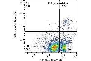 Flow cytometry analysis (surface staining) of TCR gamma/delta in rat peripheral blood with anti-TCR gamma/delta (V65) PE. (TCR gamma/delta 抗体  (PE))