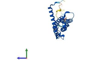 Protein Structure (PS) image for Proteasome (Prosome, Macropain) Activator Subunit 1 (PA28 Alpha) (PSME1) (AA 1-249) protein (His tag) (ABIN7556797)