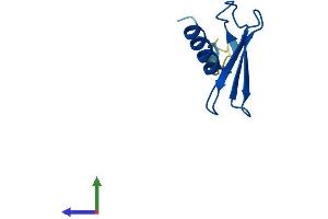 Protein Structure (PS) image for Elongation Factor 1 Homolog (ELOF1) (AA 1-83) protein (Fc Tag) (ABIN7547348)