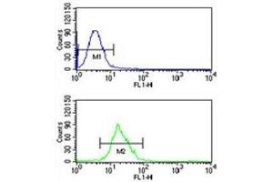 Integrin beta 3 antibody flow cytometric analysis of CEM cells (bottom histogram) compared to a negative control (top histogram). (Integrin beta 3 抗体  (AA 734-760))