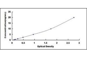 Typical standard curve (Claudin 5 ELISA 试剂盒)