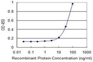 Detection limit for recombinant GST tagged EOMES is 3 ng/ml as a capture antibody. (EOMES 抗体  (AA 461-569))