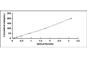 Typical standard curve (Laminin gamma 1 ELISA 试剂盒)