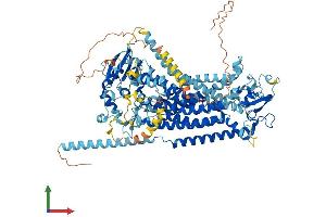 Protein Structure (PS) image for Anoctamin 4 (ANO4) (AA 1-955) protein (His tag) (ABIN7552186)