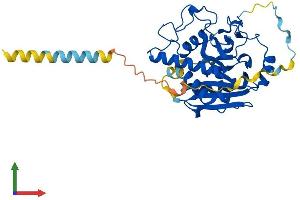 Protein Structure (PS) image for Globoside alpha-1,3-N-Acetylgalactosaminyltransferase 1 (GBGT1) (AA 1-347) protein (His tag) (ABIN7547916)