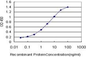 Detection limit for recombinant GST tagged KLF9 is approximately 0. (KLF9 抗体  (AA 25-101))