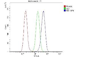 Flow Cytometry analysis of A549 cells using anti- Bid antibody (ABIN7599062).