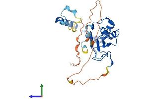 Protein Structure (PS) image for Methyltransferase Like 8 (METTL8) (AA 1-281) protein (His tag) (ABIN7561961)