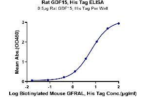 ELISA image for Growth Differentiation Factor 15 (GDF15) (AA 189-303) protein (His tag) (ABIN7274731)