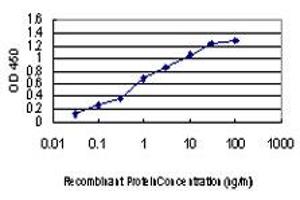 ELISA image for anti-P21-Activated Kinase 1 (PAK1) (AA 191-280) antibody (ABIN562102)