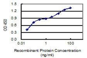 Detection limit for recombinant GST tagged AMPD2 is 0. (AMPD2 抗体  (AA 86-185))
