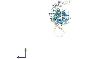 AlphaFold protein structure predicition of Human Recombinant ZNF546 Protein, UniprotID Q86UE3