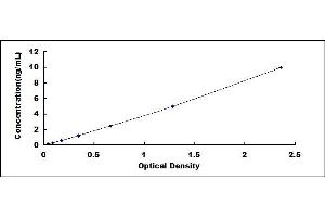 Typical standard curve (WNT3 ELISA 试剂盒)