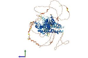 AlphaFold protein structure predicition of Human Recombinant FGD1 Protein, UniprotID P98174