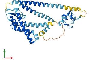 Protein Structure (PS) image for Peroxisomal Biogenesis Factor 10 (PEX10) (AA 1-324) protein (His tag) (ABIN7562031)