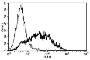 Flow Cytometry (FACS) image for anti-Interleukin 2 Receptor, alpha (IL2RA) antibody (ABIN1106138) (CD25 抗体)