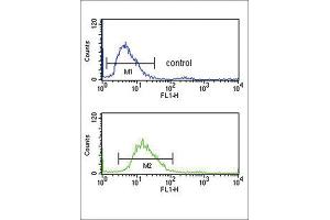 Flow Cytometry (FACS) image for anti-serpin Peptidase Inhibitor, Clade F (Alpha-2 Antiplasmin, Pigment Epithelium Derived Factor), Member 1 (SERPINF1) antibody (ABIN3003134)