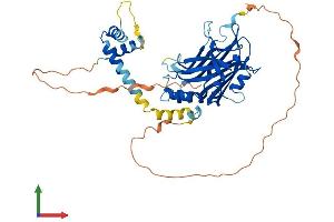 Protein Structure (PS) image for TEA Domain Family Member 4 (TEAD4) (AA 1-434) protein (His tag) (ABIN7555756)