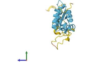 AlphaFold protein structure predicition of Mouse Recombinant Rpl12 Protein, UniprotID P35979 (RPL12 Protein (AA 1-165) (His tag))