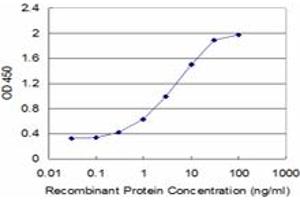 Detection limit for recombinant GST tagged CBS is approximately 0. (CBS 抗体  (AA 1-100))