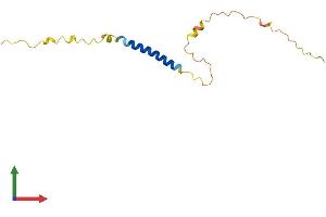 AlphaFold protein structure predicition of Mouse Recombinant Mrap Protein, UniprotID Q9D159
