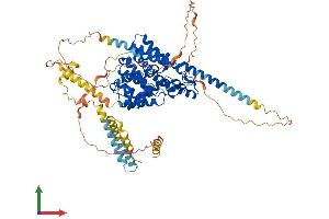 Protein Structure (PS) image for phosphodiesterase 1C, Calmodulin-Dependent 70kDa (PDE1C) (AA 1-709) protein (His tag) (ABIN7550586)