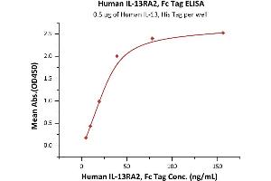 Immobilized Human IL-13, His Tag (ABIN6923160,ABIN6938873) at 5 μg/mL (100 μL/well) can bind Human IL-13RA2, Fc Tag (ABIN6973106) with a linear range of 5-39 ng/mL (QC tested). (IL13RA2 Protein (AA 27-343) (Fc Tag))