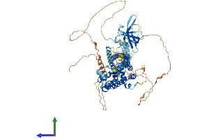 Protein Structure (PS) image for Oligophrenin 1 (OPHN1) (AA 1-802) protein (His tag) (ABIN7564874)