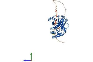 Protein Structure (PS) image for C-terminal Binding Protein 1 (CTBP1) (AA 1-441) protein (His tag) (ABIN7562656)