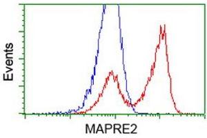 HEK293T cells transfected with either RC200259 overexpress plasmid (Red) or empty vector control plasmid (Blue) were immunostained by anti-MAPRE2 antibody (ABIN2454544), and then analyzed by flow cytometry. (MAPRE2 抗体)