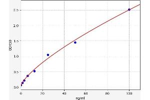 Typical standard curve (Talin ELISA 试剂盒)