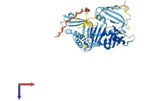 ZNF259 Protein (AA 1-459) (His tag)