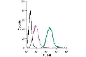 Cell surface detection of Sortilin in live intact mouse J774 macrophage cells: (black line) Cells. (Sortilin 1 抗体  (Extracellular) (FITC))