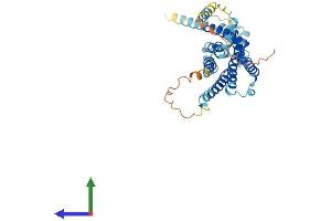 AlphaFold protein structure predicition of Mouse Recombinant Gpr62 Protein, UniprotID Q80UC6