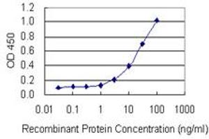 Detection limit for recombinant GST tagged FTMT is 0. (Ferritin Mitochondrial 抗体  (AA 143-242))