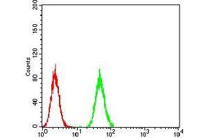 Flow Cytometry (FACS) image for anti-Chromobox Homolog 1 (CBX1) (AA 1-185) antibody (ABIN5542477)