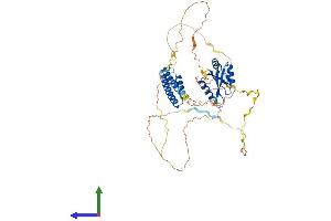 AlphaFold protein structure predicition of Human Recombinant CPSF7 Protein, UniprotID Q8N684