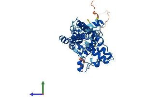 AlphaFold protein structure predicition of Human Recombinant FA2H Protein, UniprotID Q7L5A8