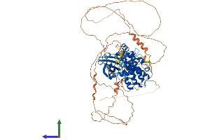 AlphaFold protein structure predicition of Mouse Recombinant Hunk Protein, UniprotID O88866 (HUNK Protein (AA 1-714) (His tag))