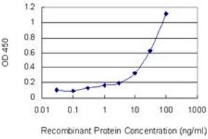 Detection limit for recombinant GST tagged DCTN1 is 0. (Dynactin 1 抗体  (AA 1-198))