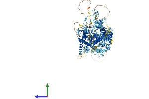 AlphaFold protein structure predicition of Human Recombinant RNF31 Protein, UniprotID Q96EP0