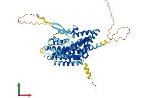 Protein Structure (PS) image for Solute Carrier Family 1 (Neuronal/epithelial High Affinity Glutamate Transporter, System Xag), Member 1 (SLC1A1) (AA 1-524) protein (His tag) (ABIN7553766)