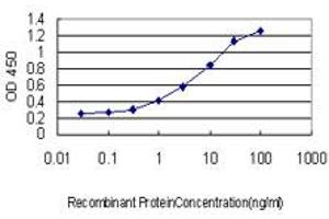 Detection limit for recombinant GST tagged FOXO1A is approximately 0. (FOXO1 抗体  (AA 556-655))