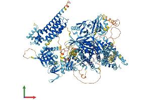 AlphaFold protein structure predicition of Human Recombinant PREX2 Protein, UniprotID Q70Z35 (PREX2 Protein (AA 1-1606) (His tag))