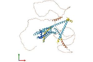 AlphaFold protein structure predicition of Mouse Recombinant Catsper1 Protein, UniprotID Q91ZR5