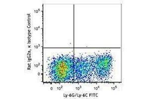 Flow Cytometry (FACS) image for anti-Chemokine (C-X-C Motif) Receptor 2 (CXCR2) antibody (Alexa Fluor 647) (ABIN2657139) (CXCR2 抗体  (Alexa Fluor 647))