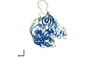 AlphaFold protein structure predicition of Human Recombinant PRKCH Protein, UniprotID P24723